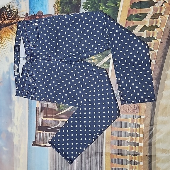 Adriano Goldschmied Polkadot Slim Straight Jeans Size 28 - Picture 3 of 7